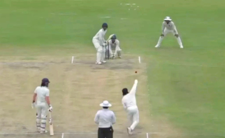 cricket1.jpg