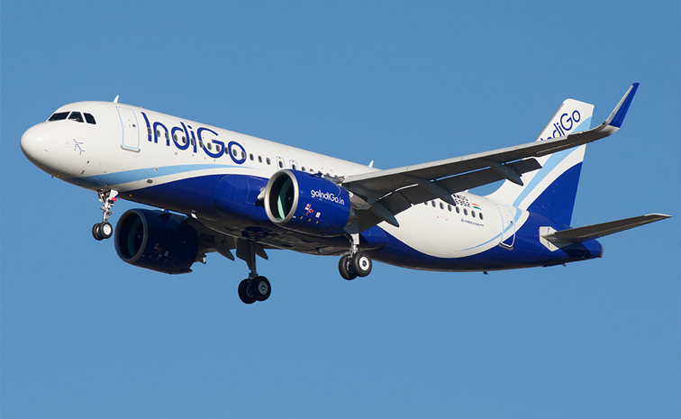 indigo01.jpg