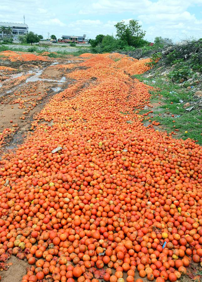 Angry_20farmers_20throw_20tomatoes_20on_20roadside_20at_20anantapur_2.jpg 2