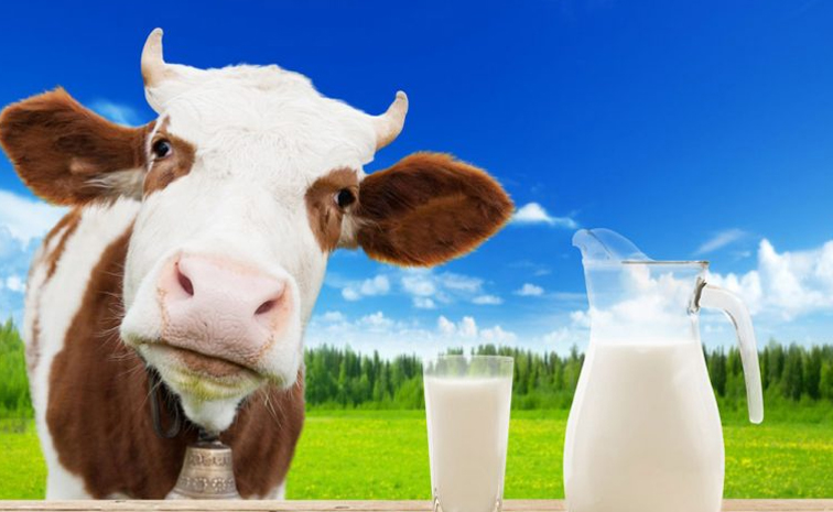 milk.jpg