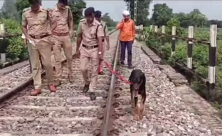 train.jpg