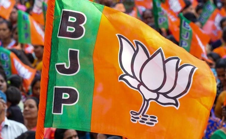 bjp.jpg