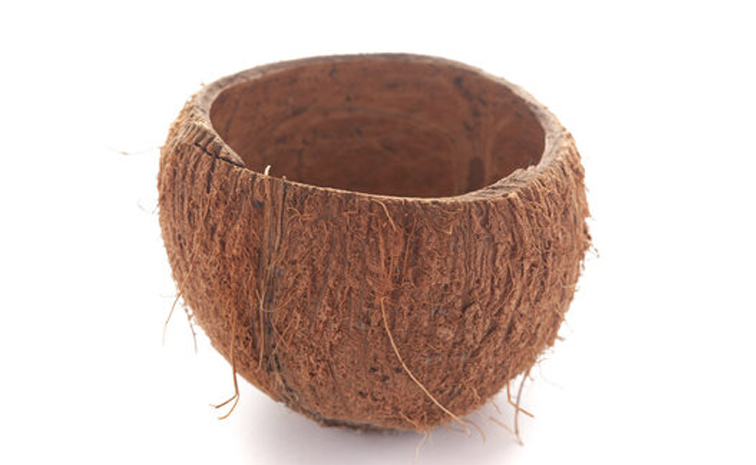 coconutshell.jpg