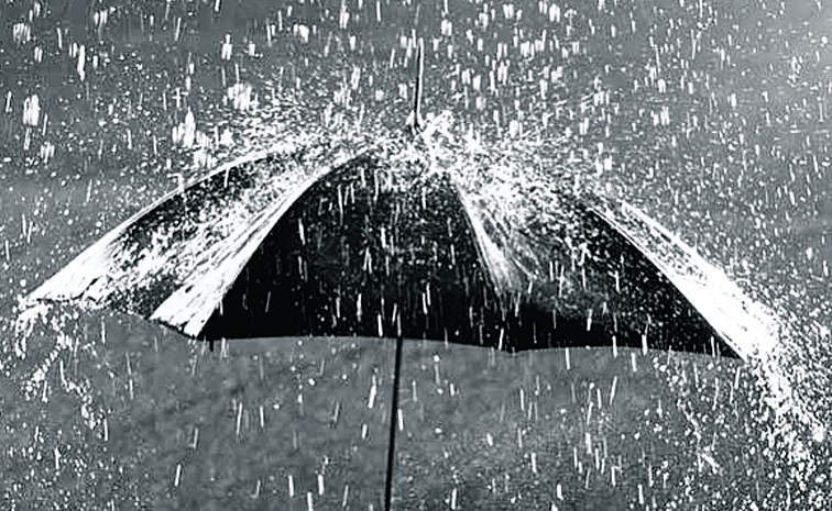 RAIN_20122.jpg