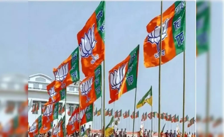bjp-f.jpg
