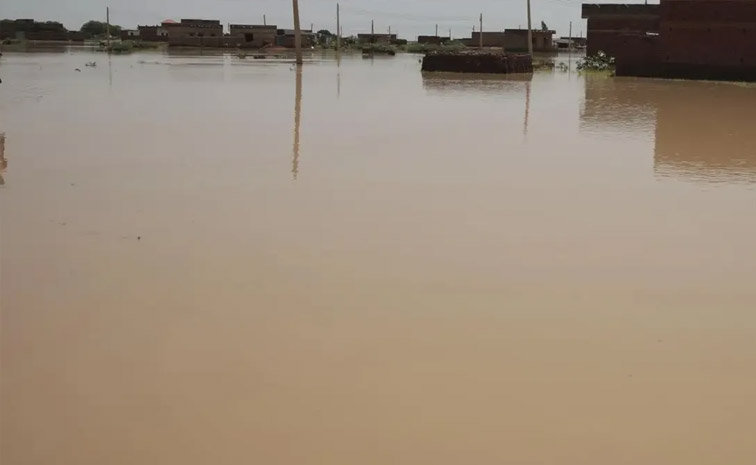 sudan.jpg