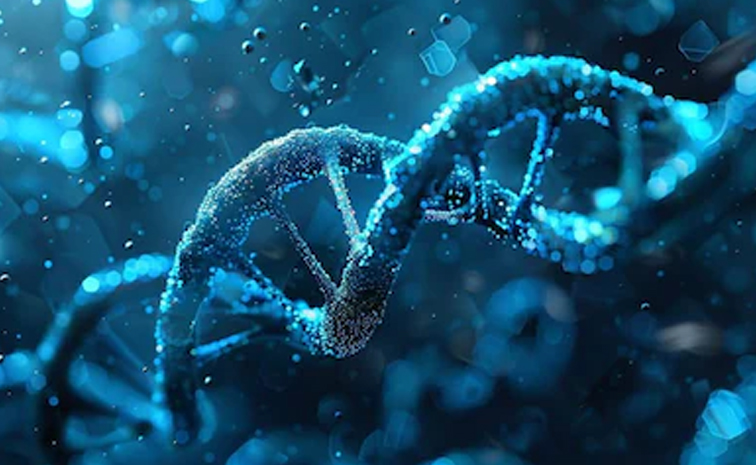 dna-Y_20chromosome.jpg