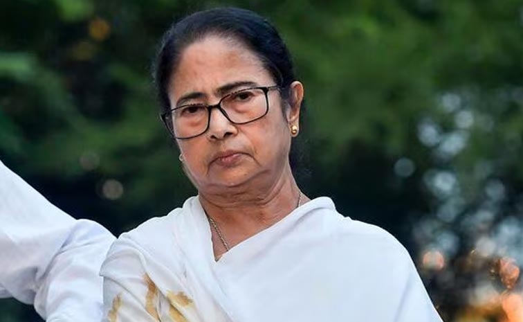 mamata-2.jpg
