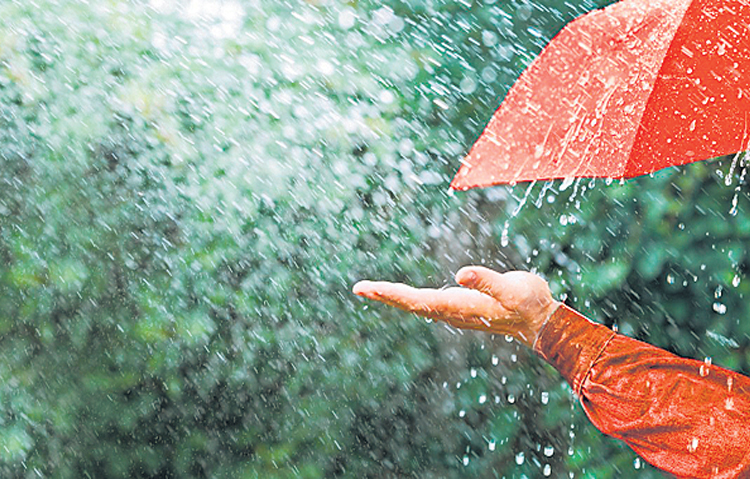 rain_0.jpg