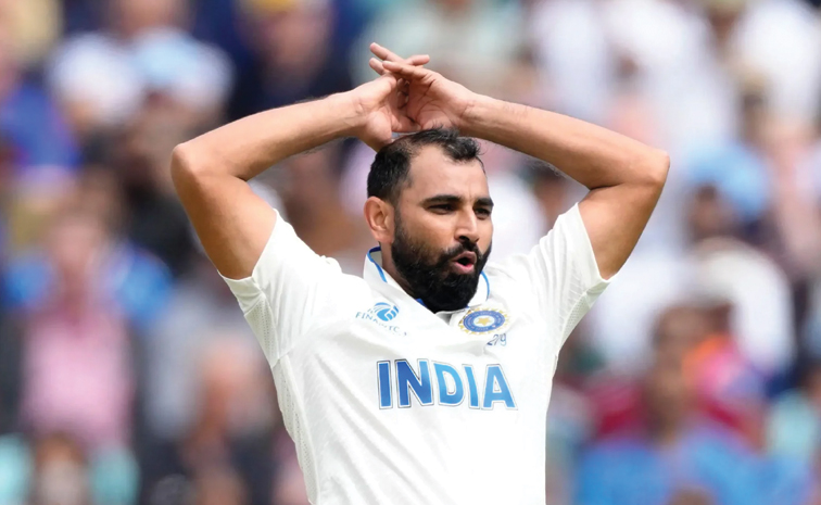 shami.jpg