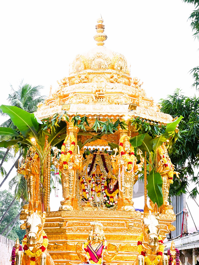 Swarna_20Rathotsavam_20For_20Sri_20Bhramaramba_20Mallikarjuna_20In_20Srisailam_12.jpg 12