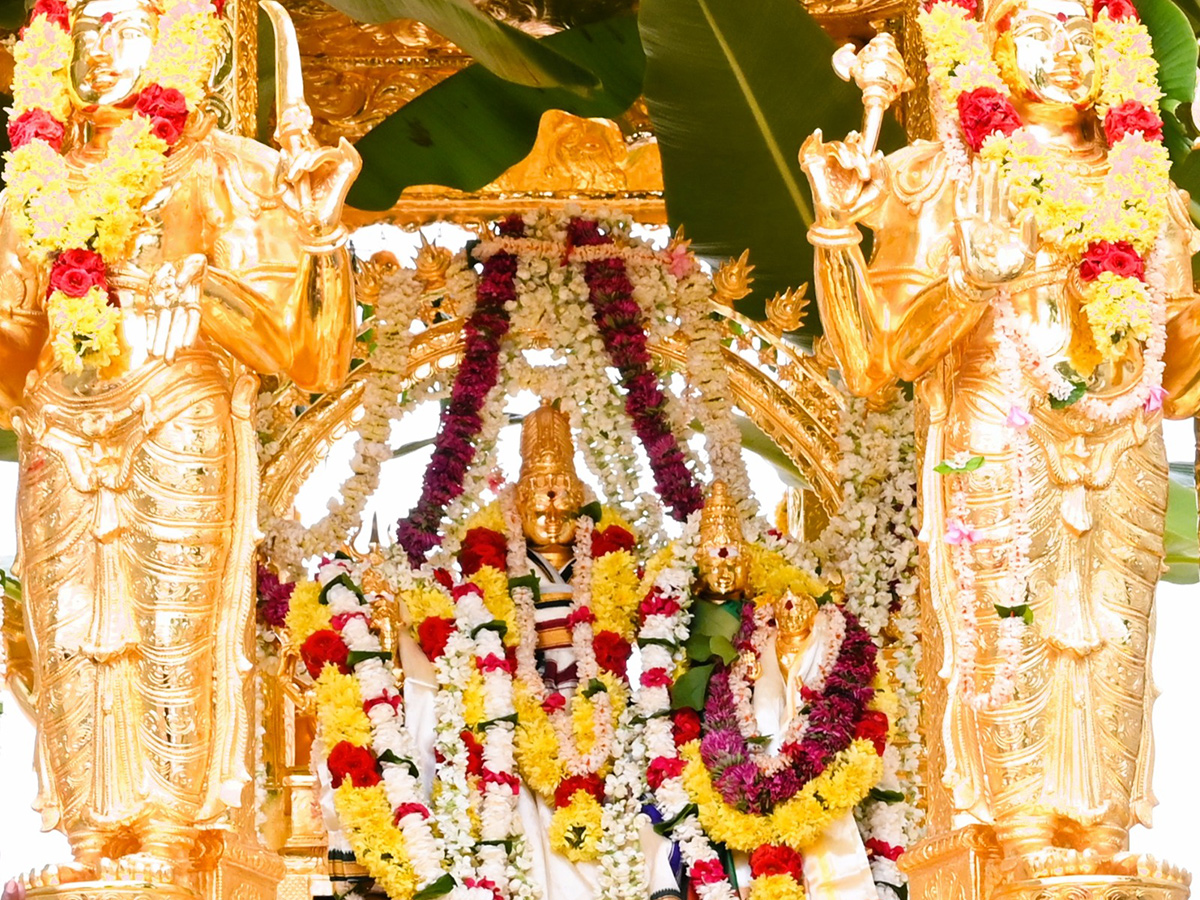 Swarna_20Rathotsavam_20For_20Sri_20Bhramaramba_20Mallikarjuna_20In_20Srisailam_3.jpg 3