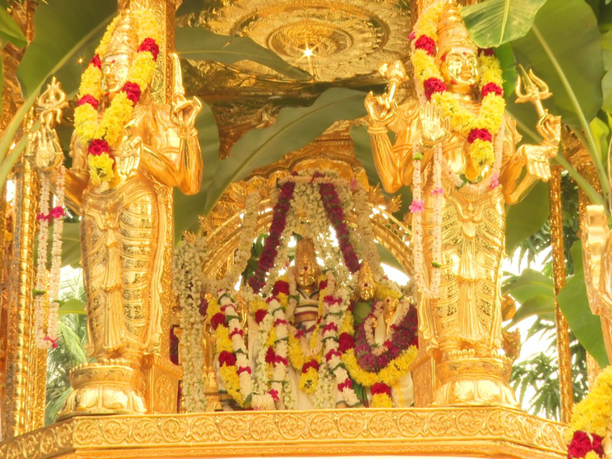 Swarna_20Rathotsavam_20For_20Sri_20Bhramaramba_20Mallikarjuna_20In_20Srisailam_4.jpg 4