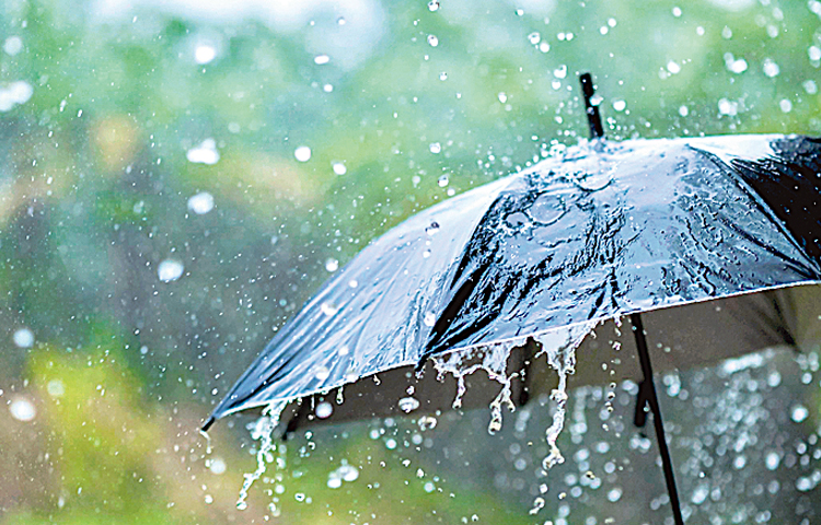 rain.jpg