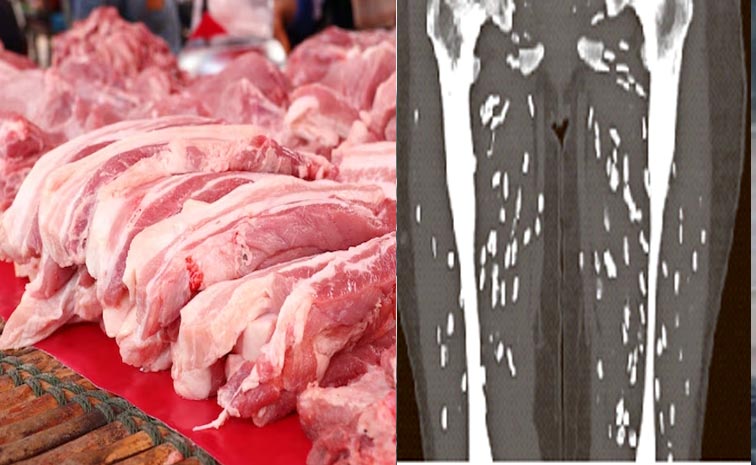 pork-meal.jpg