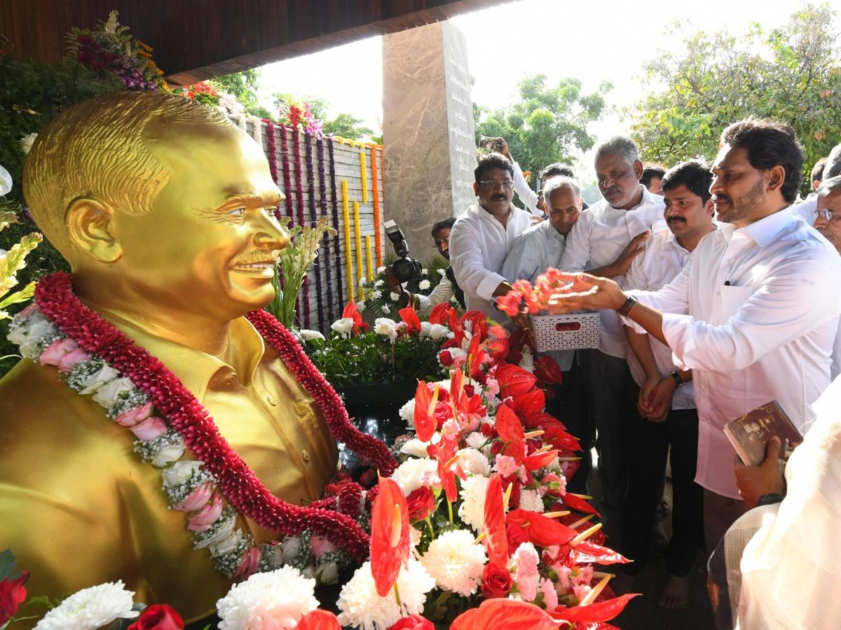 YSR-24.jpg 25