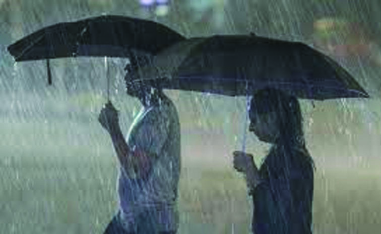 rain22.jpg