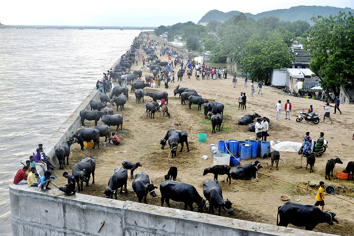 Riverfront_20park_20new_20landmark_20vijayawada_20photos_13.jpg 12