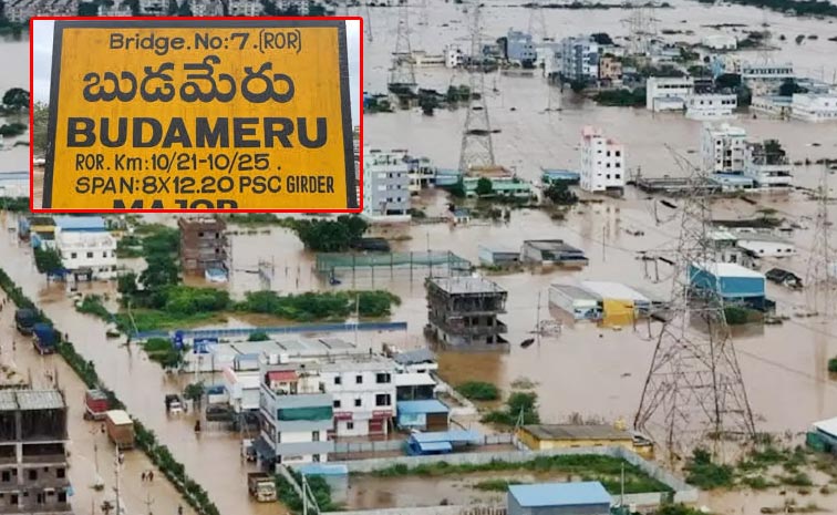 Budameru.jpg