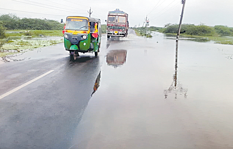 kolleru.jpg