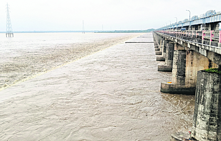 godavari.jpg