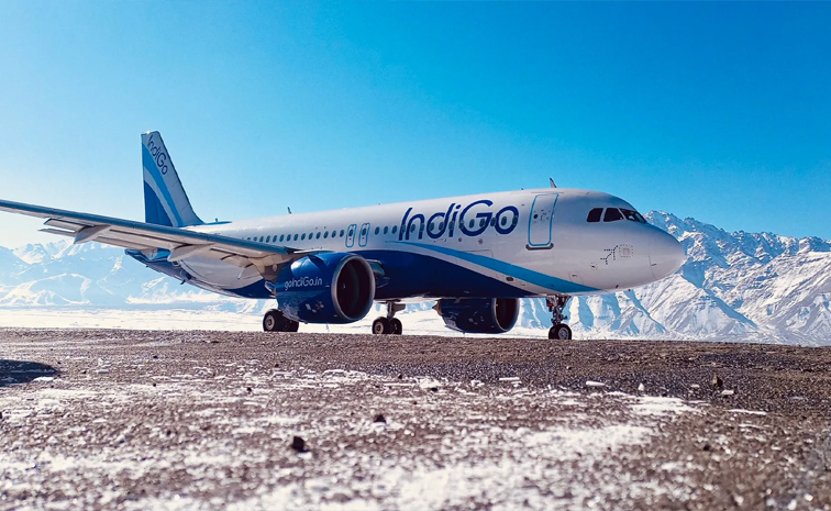 indigo01.jpg