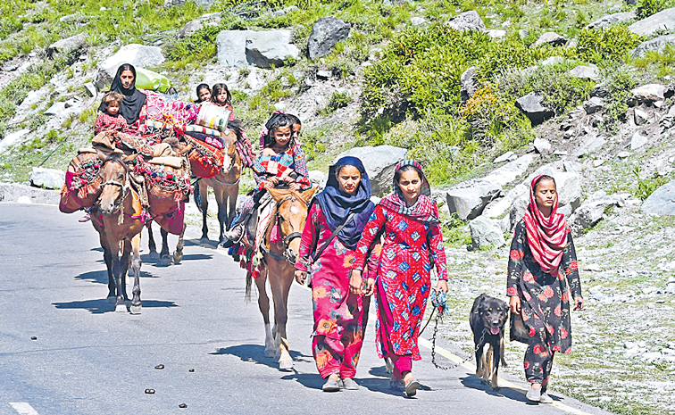PAHARI-IN-JK.jpg