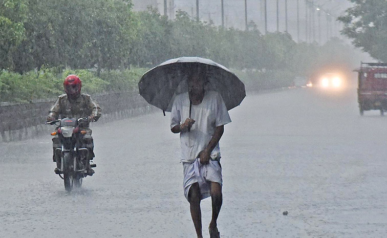 Rains4.jpg