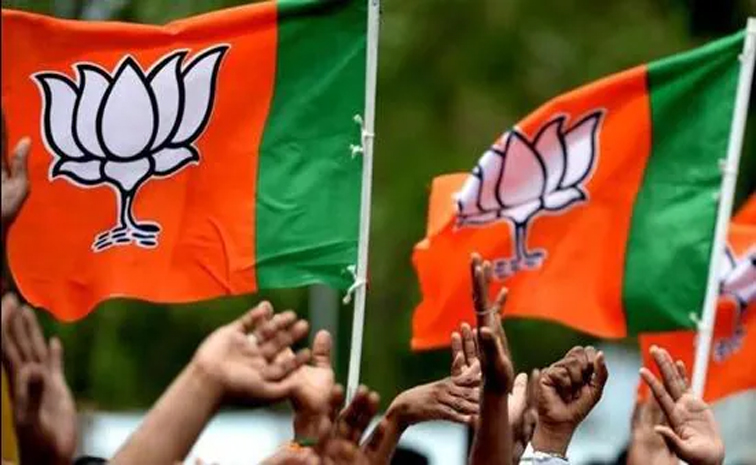 bjp.jpg