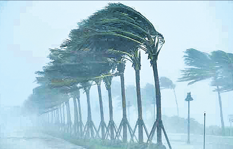 rain_0.jpg