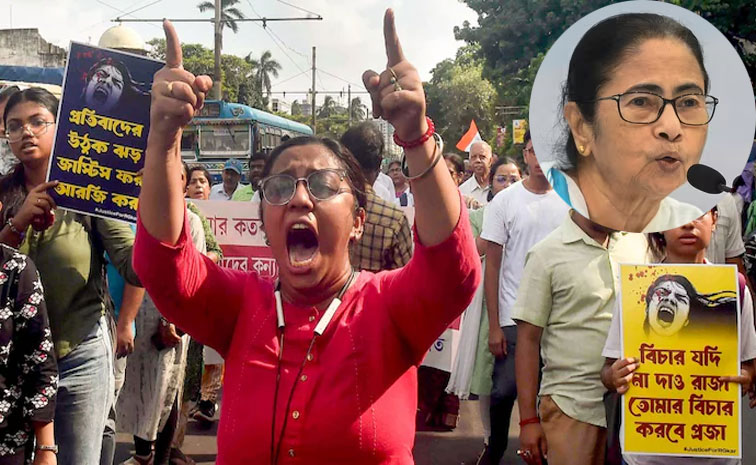 bengal.jpg