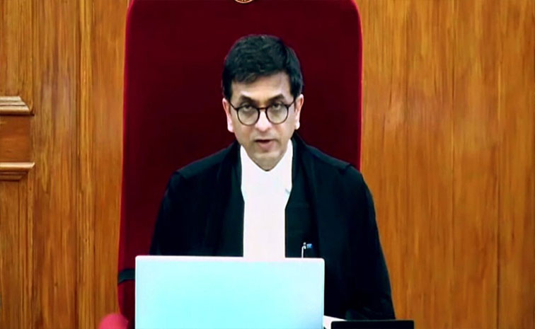 court.jpg