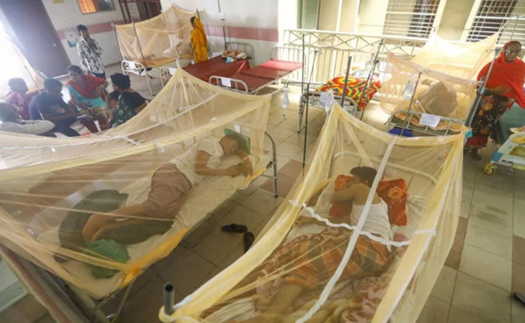 dengue-main.jpg