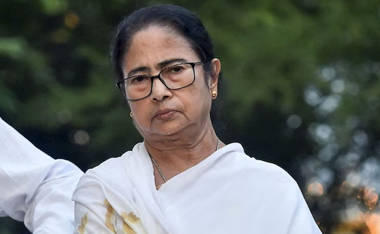 mamata_0.jpg