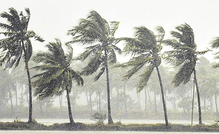 rain.jpg