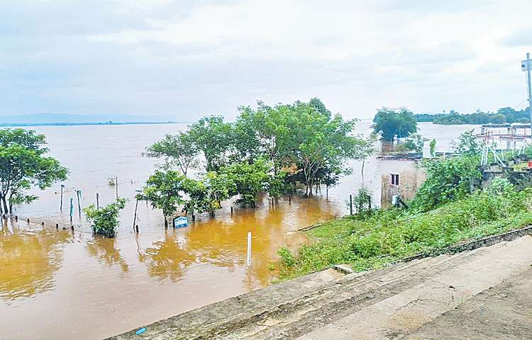 godavari.jpg