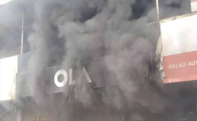 ola.jpg