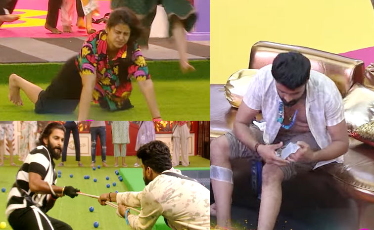 biggbossmain.jpg