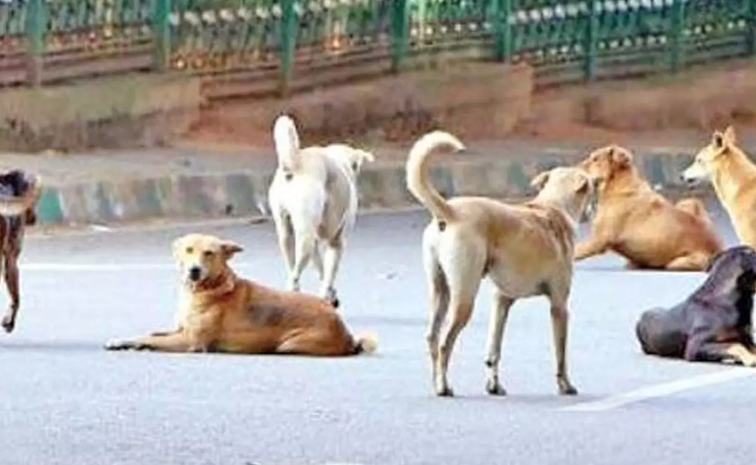 dogs_0.jpg