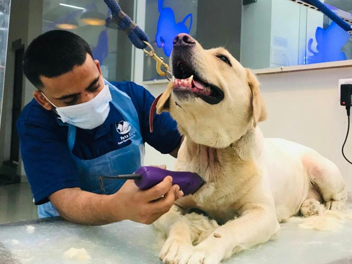 Pet-Parlour_Grooming-Services-4.jpg 5