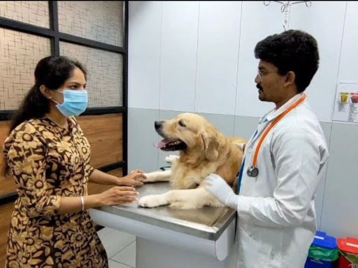 Pet-Parlour_Grooming-Services-5.jpg 6