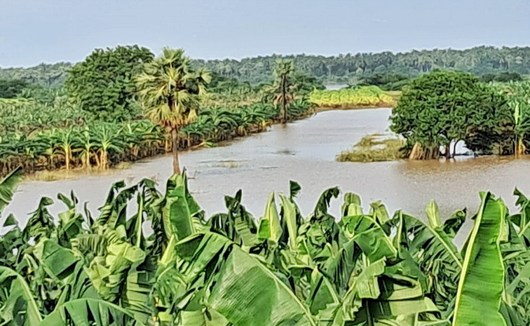 Rains-Flood-Updates_0.jpg