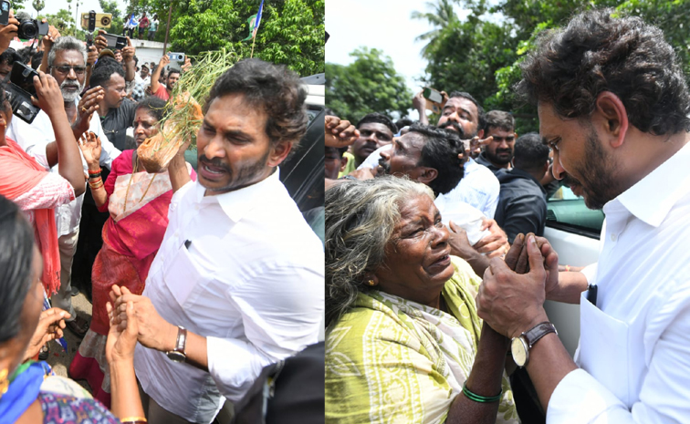 YS_Jagan_Pitapuram_Tour.jpg