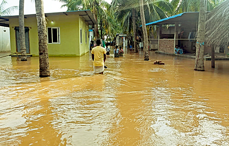 godavari.jpg