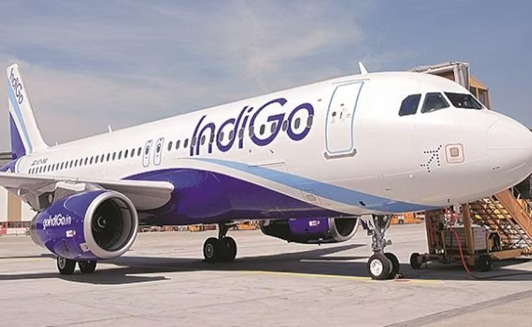 indigo01.jpg