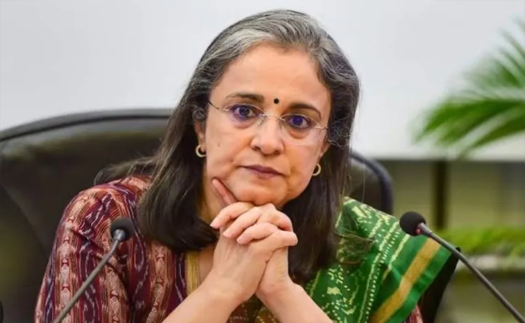 sebi01.jpg