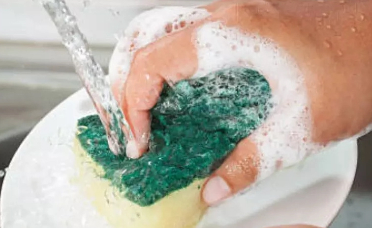 Kitchensponge_danger.jpg