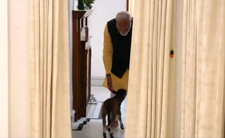 modi-main.jpg