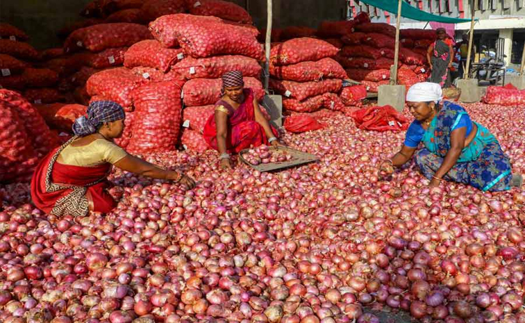 onions01.jpg
