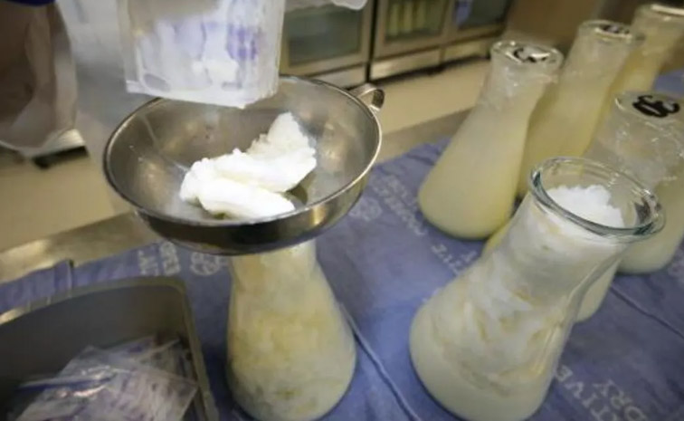 pak-milk.jpg